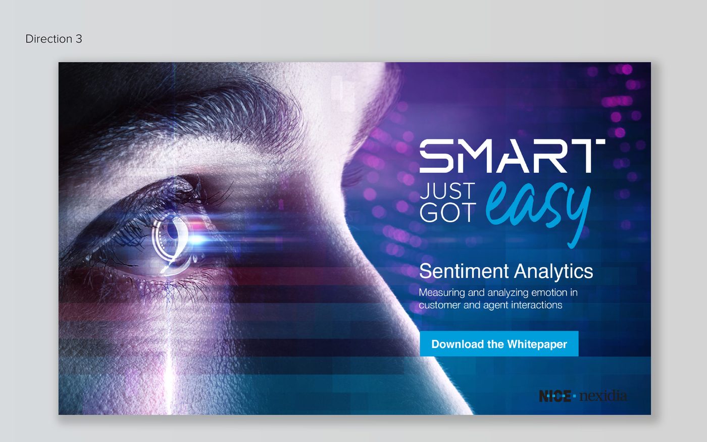 NICE Nexidia campaign: sentiment analytics